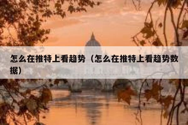 怎么在推特上看趋势（怎么在推特上看趋势数据） 第1张