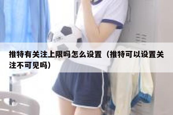 推特有关注上限吗怎么设置（推特可以设置关注不可见吗） 第1张