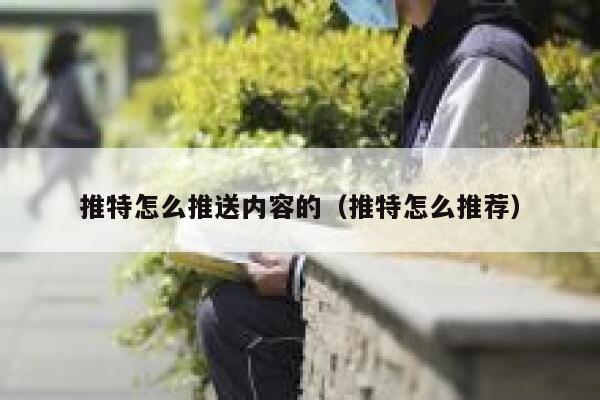 推特怎么推送内容的（推特怎么推荐） 第1张