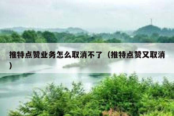 推特点赞业务怎么取消不了（推特点赞又取消） 第1张