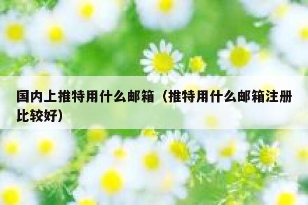 国内上推特用什么邮箱（推特用什么邮箱注册比较好） 第1张