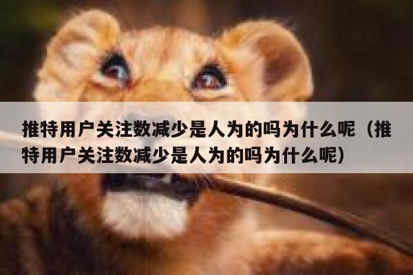 推特用户关注数减少是人为的吗为什么呢（推特用户关注数减少是人为的吗为什么呢） 第1张