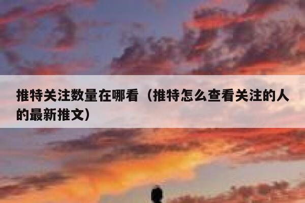 推特关注数量在哪看（推特怎么查看关注的人的最新推文） 第1张