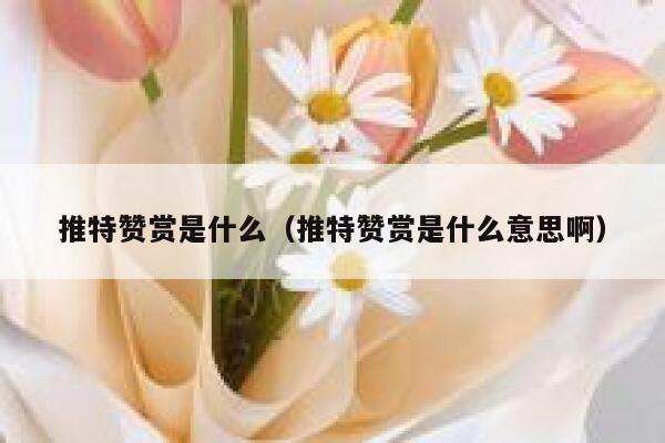推特赞赏是什么（推特赞赏是什么意思啊） 第1张