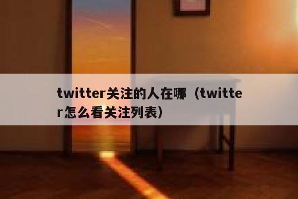 twitter关注的人在哪（twitter怎么看关注列表） 第1张