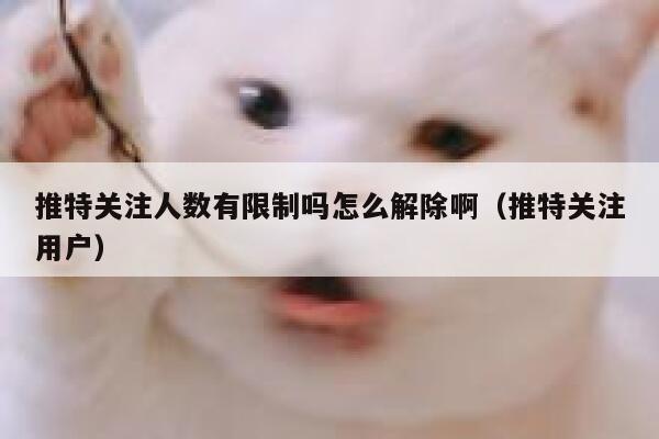 推特关注人数有限制吗怎么解除啊（推特关注用户） 第1张