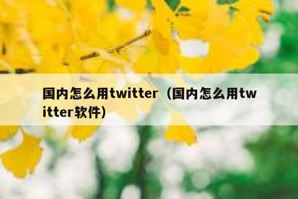 国内怎么用twitter（国内怎么用twitter软件） 第1张