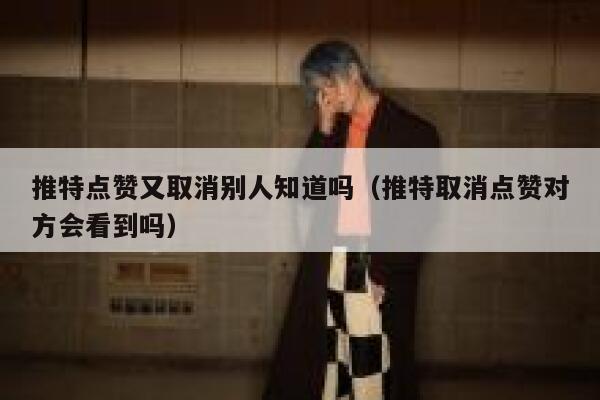 推特点赞又取消别人知道吗（推特取消点赞对方会看到吗） 第1张