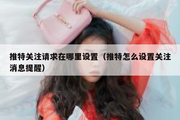 推特关注请求在哪里设置(推特怎么设置关注消息提醒) 第1张 推特关注请求在哪里设置(推特怎么设置关注消息提醒) 第1张