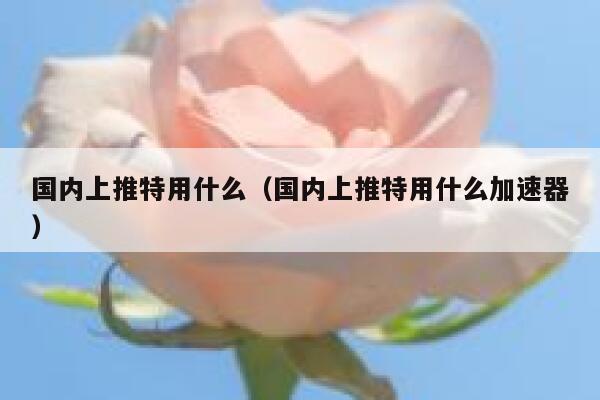 国内上推特用什么(国内上推特用什么加速器) 第1张 国内上推特用什么(国内上推特用什么加速器) 第1张