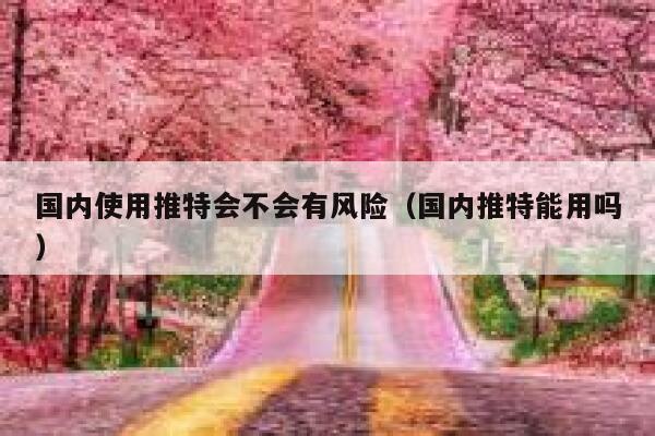 国内使用推特会不会有风险(国内推特能用吗) 第1张 国内使用推特会不会有风险(国内推特能用吗) 第1张