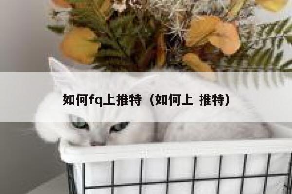 如何fq上推特(如何上 推特) 第1张 如何fq上推特(如何上 推特) 第1张
