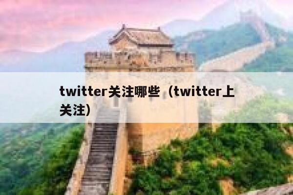 twitter关注哪些（twitter上关注） 第1张