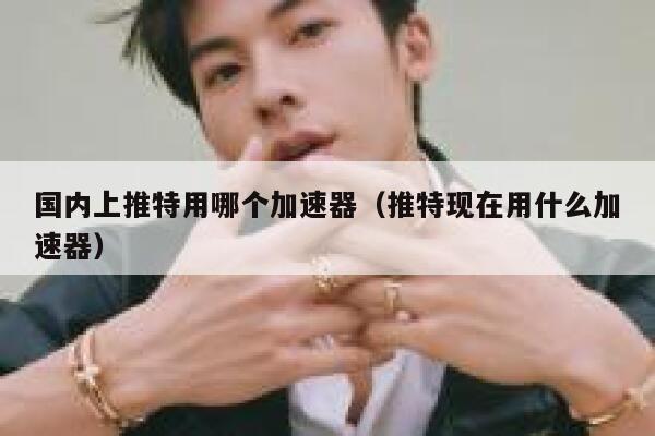 国内上推特用哪个加速器（推特现在用什么加速器） 第1张