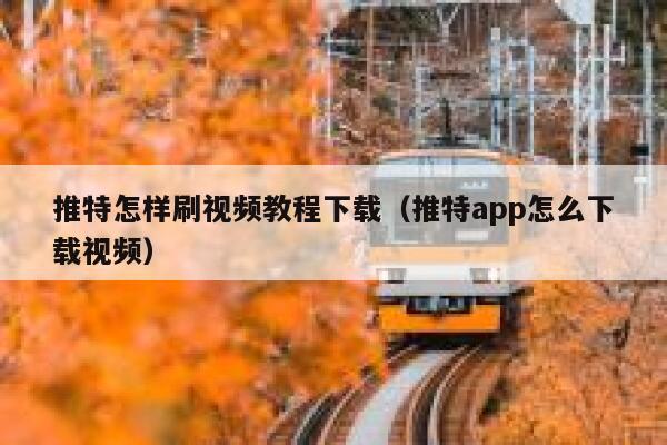 推特怎样刷视频教程下载(推特app怎么下载视频) 第1张 推特怎样刷视频教程下载(推特app怎么下载视频) 第1张