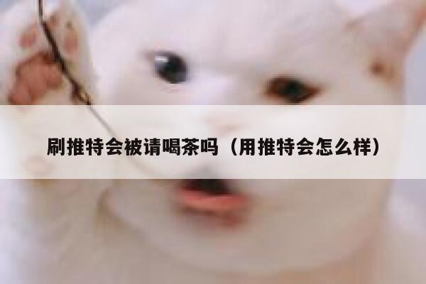 刷推特会被请喝茶吗（用推特会怎么样） 第1张