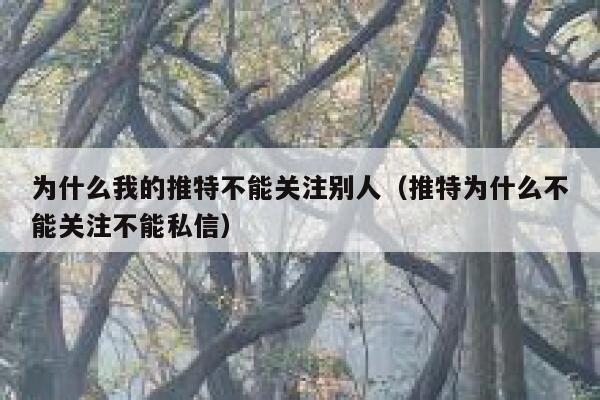 为什么我的推特不能关注别人(推特为什么不能关注不能私信) 第1张 为什么我的推特不能关注别人(推特为什么不能关注不能私信) 第1张