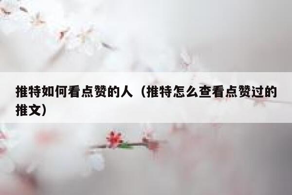 推特如何看点赞的人(推特怎么查看点赞过的推文) 第1张 推特如何看点赞的人(推特怎么查看点赞过的推文) 第1张