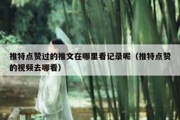 推特点赞过的推文在哪里看记录呢(推特点赞的视频去哪看) 第1张 推特点赞过的推文在哪里看记录呢(推特点赞的视频去哪看) 第1张