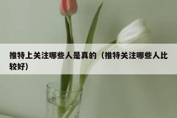 推特上关注哪些人是真的(推特关注哪些人比较好) 第1张 推特上关注哪些人是真的(推特关注哪些人比较好) 第1张