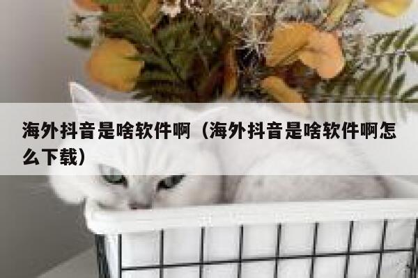 海外抖音是啥软件啊(海外抖音是啥软件啊怎么下载) 第1张 海外抖音是啥软件啊(海外抖音是啥软件啊怎么下载) 第1张