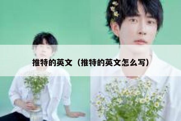 推特的英文(推特的英文怎么写) 第1张 推特的英文(推特的英文怎么写) 第1张