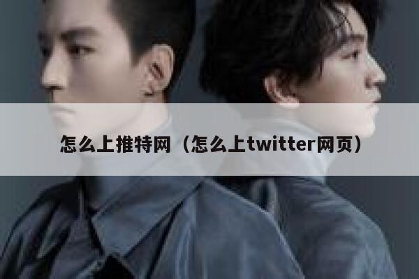怎么上推特网(怎么上twitter网页) 第1张 怎么上推特网(怎么上twitter网页) 第1张