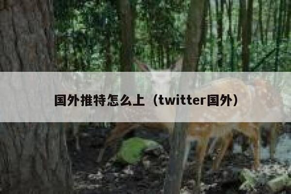 国外推特怎么上(twitter国外) 第1张 国外推特怎么上(twitter国外) 第1张