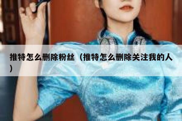 推特怎么删除粉丝(推特怎么删除关注我的人) 第1张 推特怎么删除粉丝(推特怎么删除关注我的人) 第1张