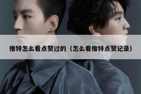 推特怎么看点赞过的(怎么看推特点赞记录) 第1张 推特怎么看点赞过的(怎么看推特点赞记录) 第1张