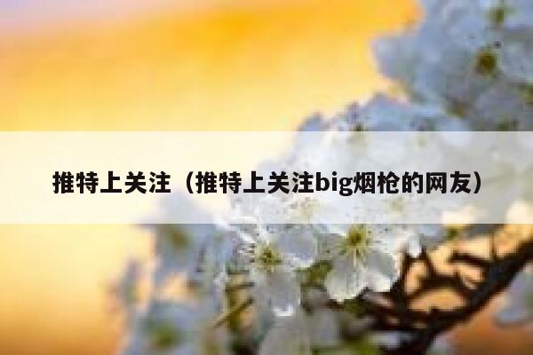 推特上关注(推特上关注big烟枪的网友) 第1张 推特上关注(推特上关注big烟枪的网友) 第1张