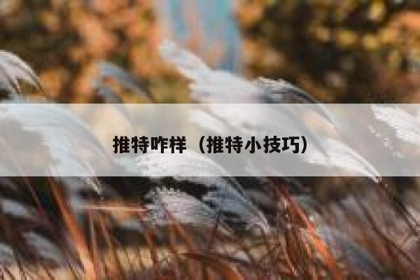 推特咋样（推特小技巧） 第1张