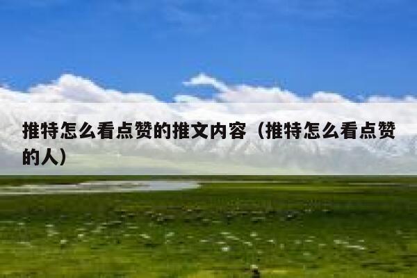 推特怎么看点赞的推文内容(推特怎么看点赞的人) 第1张 推特怎么看点赞的推文内容(推特怎么看点赞的人) 第1张