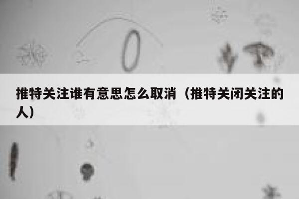 推特关注谁有意思怎么取消(推特关闭关注的人) 第1张 推特关注谁有意思怎么取消(推特关闭关注的人) 第1张