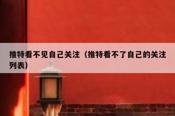 推特看不见自己关注(推特看不了自己的关注列表) 第1张 推特看不见自己关注(推特看不了自己的关注列表) 第1张