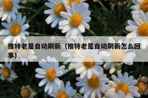 推特老是自动刷新(推特老是自动刷新怎么回事) 第1张 推特老是自动刷新(推特老是自动刷新怎么回事) 第1张