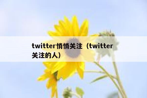 twitter悄悄关注（twitter 关注的人） 第1张