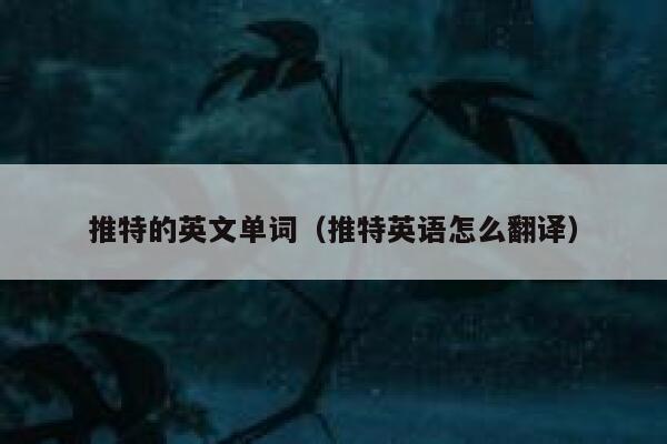 推特的英文单词（推特英语怎么翻译） 第1张