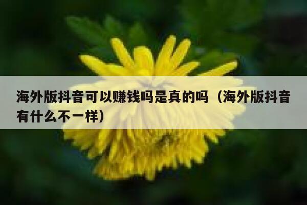 海外版抖音可以赚钱吗是真的吗(海外版抖音有什么不一样) 第1张 海外版抖音可以赚钱吗是真的吗(海外版抖音有什么不一样) 第1张