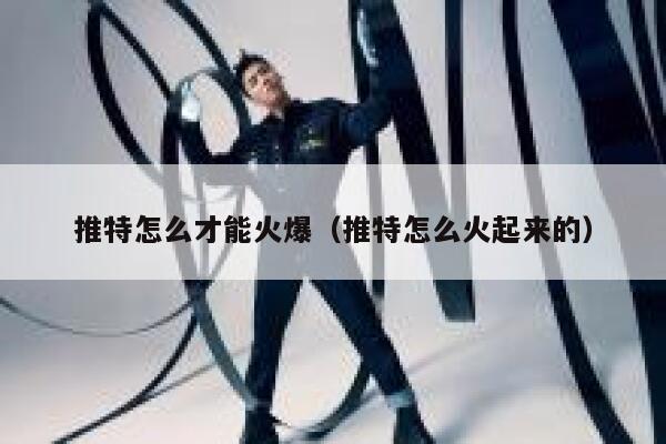 推特怎么才能火爆(推特怎么火起来的) 第1张 推特怎么才能火爆(推特怎么火起来的) 第1张