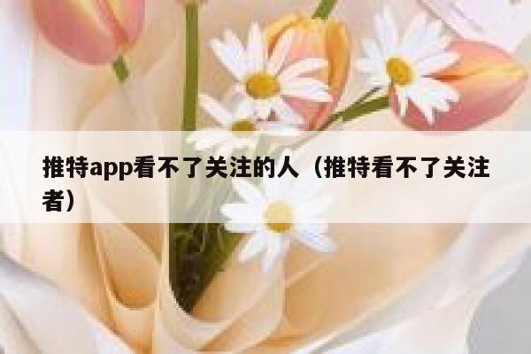 推特app看不了关注的人（推特看不了关注者） 第1张