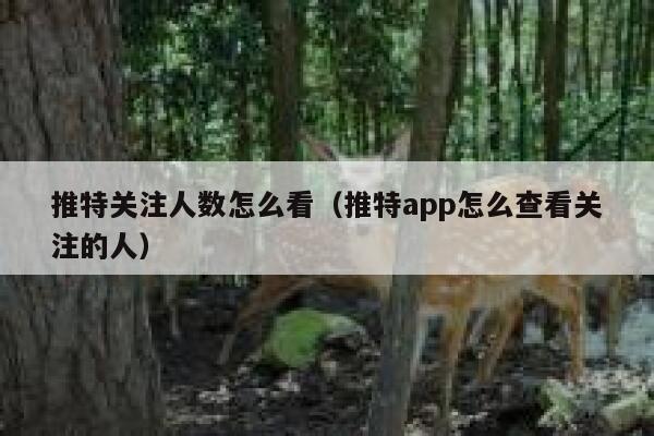 推特关注人数怎么看（推特app怎么查看关注的人） 第1张