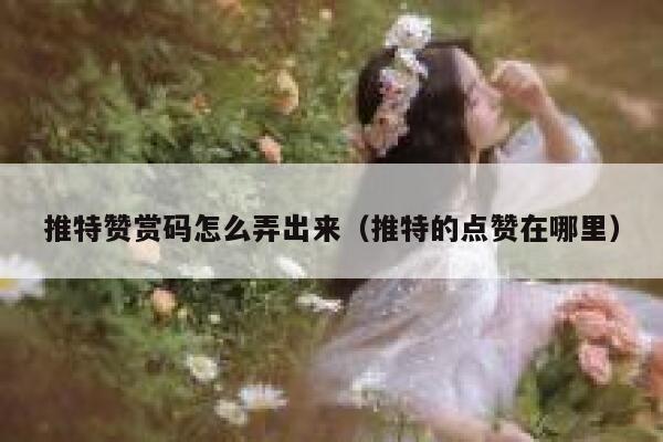 推特赞赏码怎么弄出来（推特的点赞在哪里） 第1张