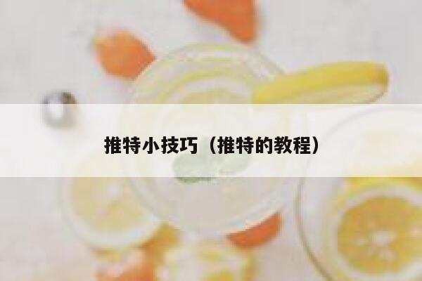 推特小技巧(推特的教程) 第1张 推特小技巧(推特的教程) 第1张