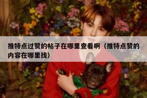 推特点过赞的帖子在哪里查看啊(推特点赞的内容在哪里找) 第1张 推特点过赞的帖子在哪里查看啊(推特点赞的内容在哪里找) 第1张