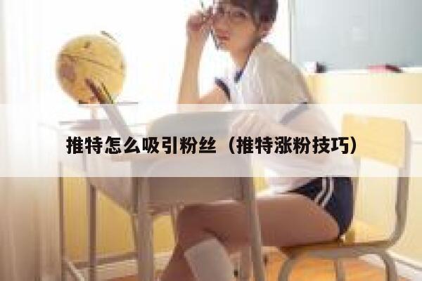 推特怎么吸引粉丝(推特涨粉技巧) 第1张 推特怎么吸引粉丝(推特涨粉技巧) 第1张