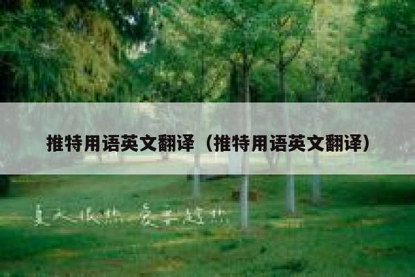 推特用语英文翻译(推特用语英文翻译) 第1张 推特用语英文翻译(推特用语英文翻译) 第1张