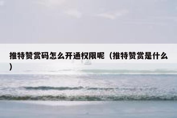 推特赞赏码怎么开通权限呢(推特赞赏是什么) 第1张 推特赞赏码怎么开通权限呢(推特赞赏是什么) 第1张