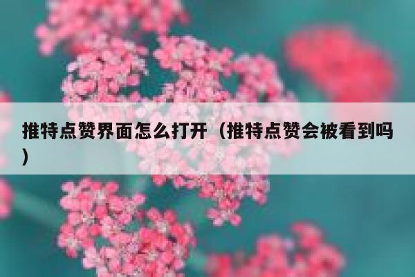 推特点赞界面怎么打开(推特点赞会被看到吗) 第1张 推特点赞界面怎么打开(推特点赞会被看到吗) 第1张