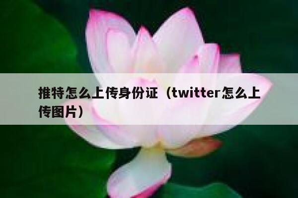 推特怎么上传身份证(twitter怎么上传图片) 第1张 推特怎么上传身份证(twitter怎么上传图片) 第1张